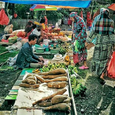 Rural Life