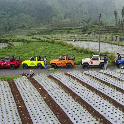 Swiss Van Java