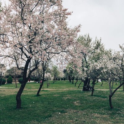 Spring