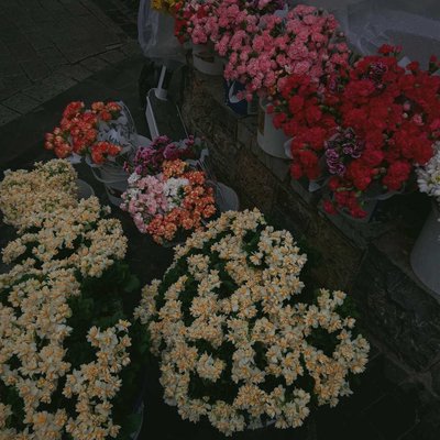 Valentines Day🌹