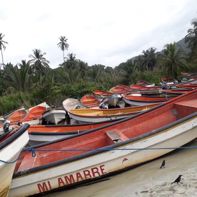 arrival of the boats in Chuao