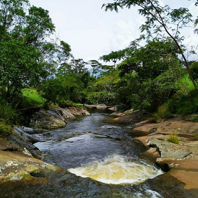 Lajas de mi tierra🌍