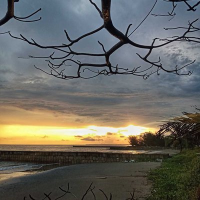 Senja