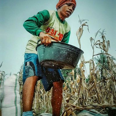 Rural Life