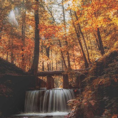 Yedigöller'de sonbahar 🍂🍁