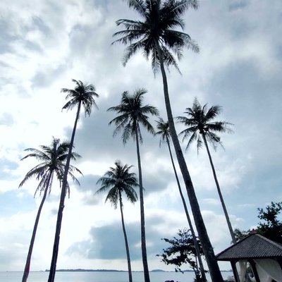 Menikmati pagi di Bintan Pearl