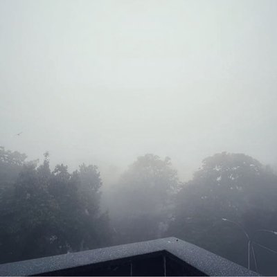 a foggy morning