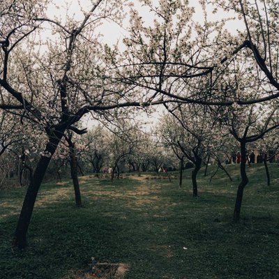 Say Hi To Spring! 