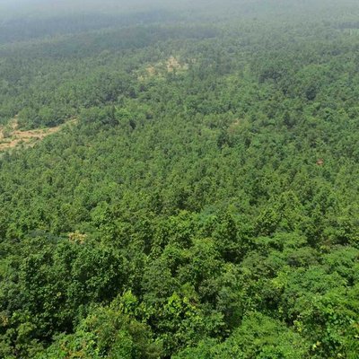Jangalmahal (West Bengal ) 