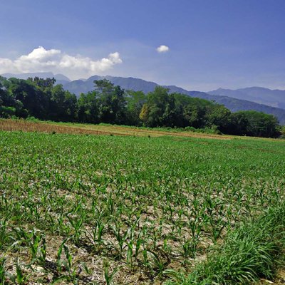  Alam Sawah 