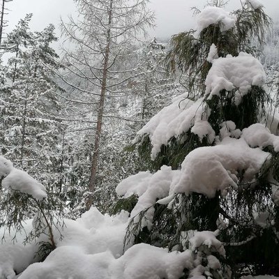 Kar 🏔️ soguk😊