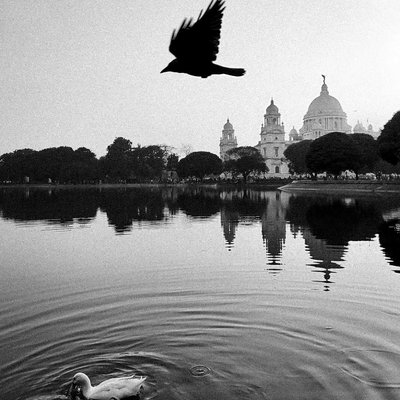 BNW