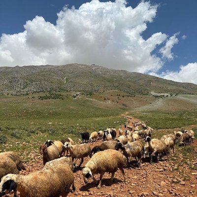 Tunceli Ovacık Munzur Dağları / Tunceli Ovacik Munzur Mountains