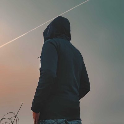 Lone wolf 
