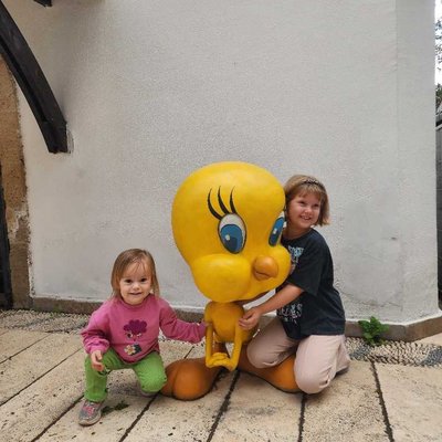 The Toy Museum