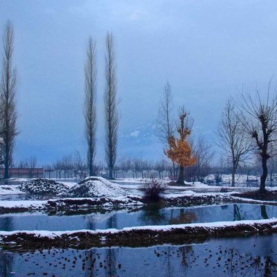 After Snowfall - Winters in Kashmir