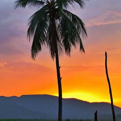 sunset