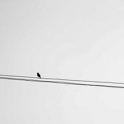 alone 