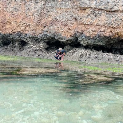 Cari Ikan