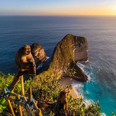 Kelingking Beach Surga Yang Tersembunyi Di Nusa Penida