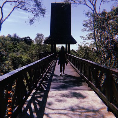 Curitiba 🇧🇷 