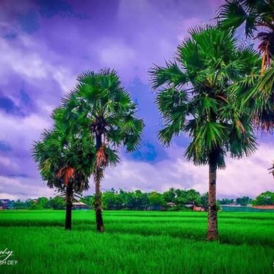 Nature Photography🗾🏞️