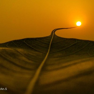 Way to the Sun 🌞