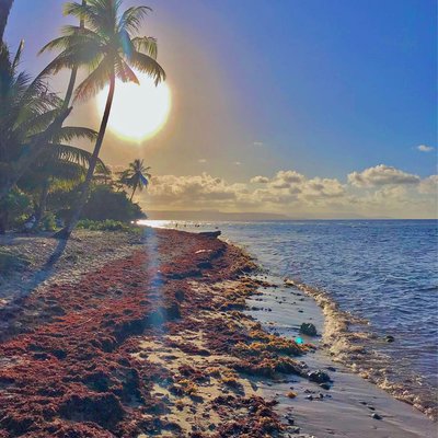 Playa Manglito