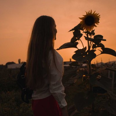 golden sunflower