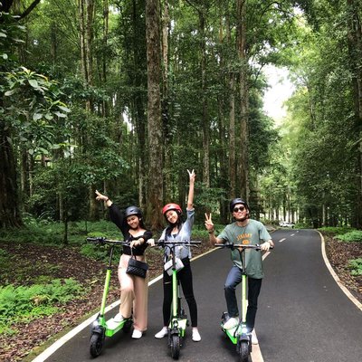 Bedugul