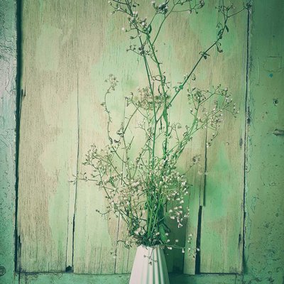 still life bunga