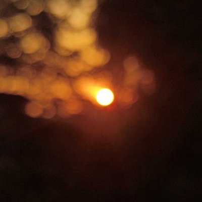 Sunset photography with mobile 🌞🤩