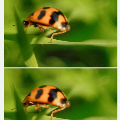hey! cutie let me take your pic