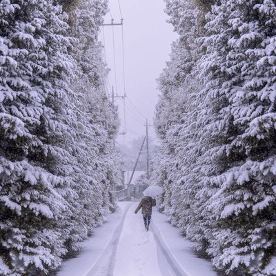 the day of the first snowfall in january