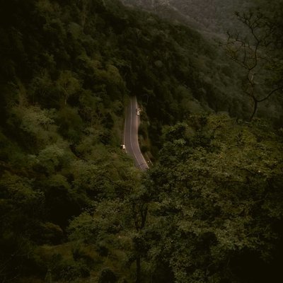 INTO THE WILD❤

