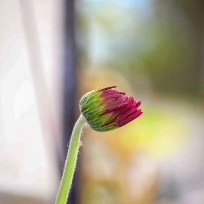 New Beginning 