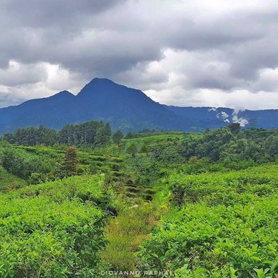 Gunung Bunder