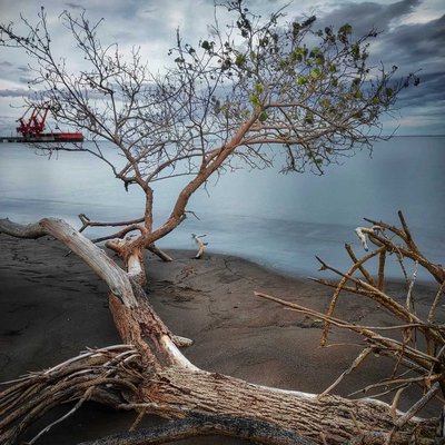Pantai Firdaus