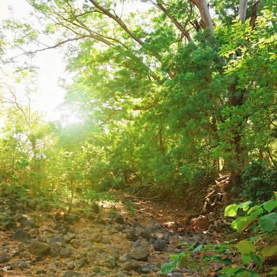 Sungai kering 