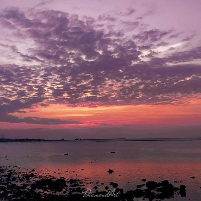 Senja 