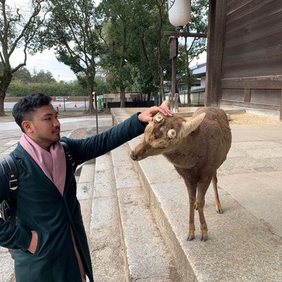 nara park