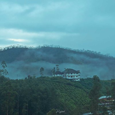 morning view💚🍃