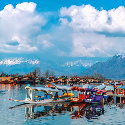 Spring Awakening : Dal lake and the Snow-Covered Zabarwan Ra