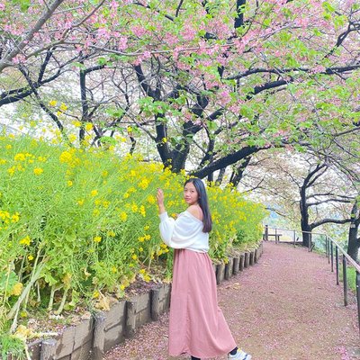 cherry blossom 2022 🌸