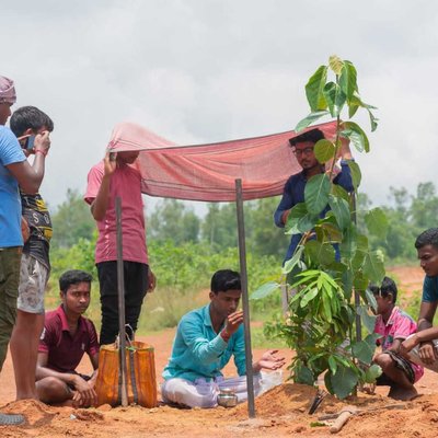 🌱🌍SAVE TREE SAVE WORLD 🌍🌱