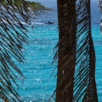Isla Mujeres 