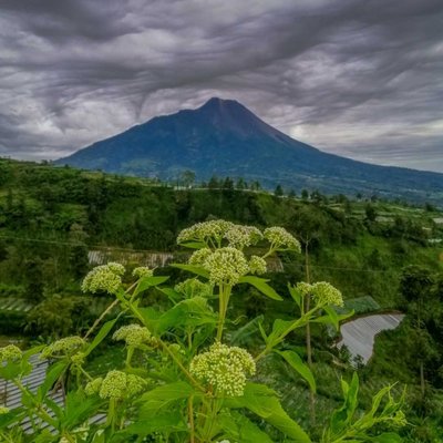mendung tak berarti hujan