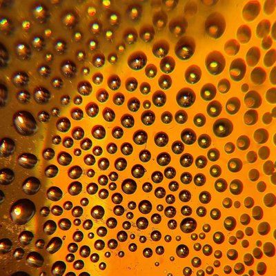 macro photography 📲