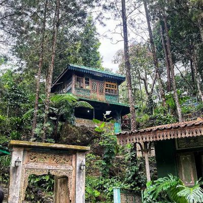 LQ Forest
