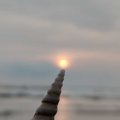 creative photography